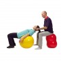 PHYSIO ROLL PLUS - Ø 55 cm