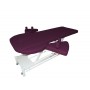 TABLE ELECTRIQUE DE POSTURE SANS POTENCE - HMMZ