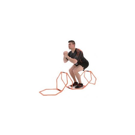 Échelle training