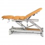 Table de massage FERROX® CEZANNE PRO 7 plans + cyphose électrique + 4 roulettes + cadre de commande