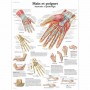 AFFICHES - lot de 8
