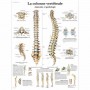 AFFICHES - lot de 8