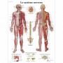 AFFICHES - lot de 8