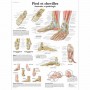 AFFICHES - lot de 8