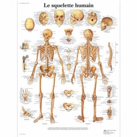 AFFICHES - lot de 8