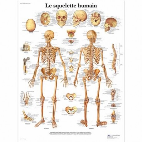 AFFICHES - lot de 8