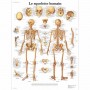 AFFICHES - lot de 8