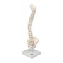 MINI COLONNE